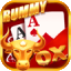teen patti royal flush icon