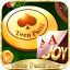 13 card rummy plus icon